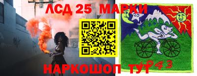 ПСИЛОЦИБИНОВЫЕ ГРИБЫ Ливны