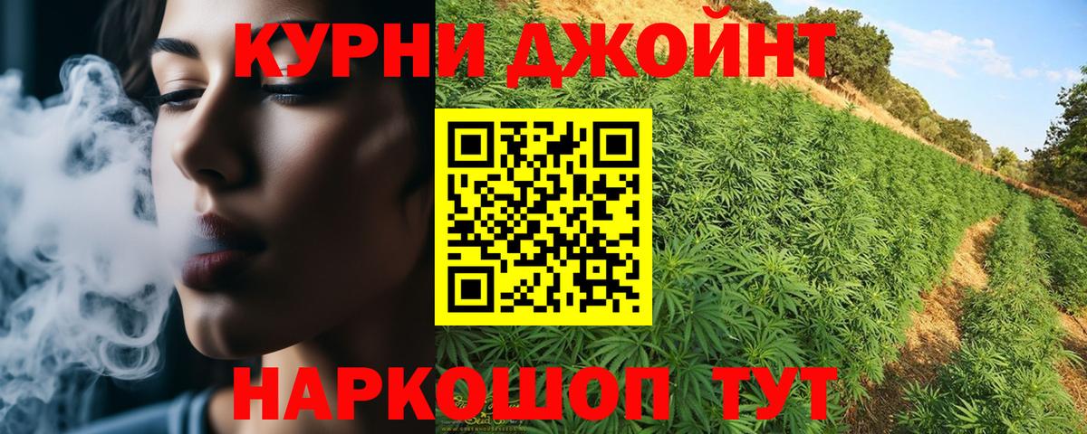 МАРИХУАНА конопля  Вход с VPN  Марихуана конопля  Гай  Шишки марихуана планчик  Бошки Шишки OG Kush 